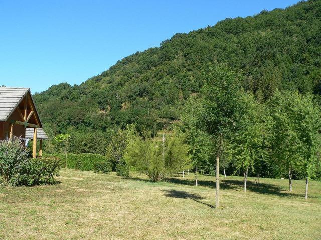 Saint-Geniez D'Olt - Residence Le Colombier エクステリア 写真