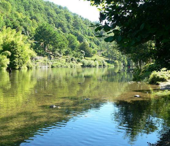 Saint-Geniez D'Olt - Residence Le Colombier エクステリア 写真