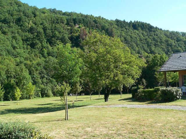 Saint-Geniez D'Olt - Residence Le Colombier エクステリア 写真